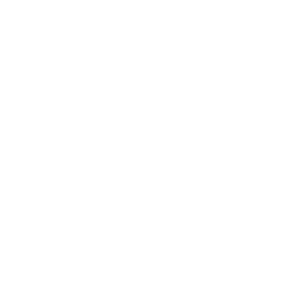Audit BEE